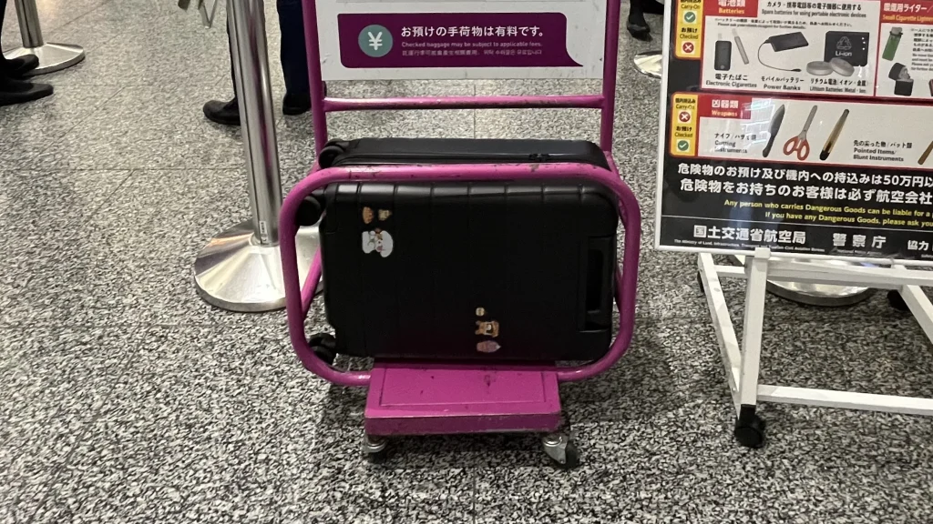 09 Peach-baggage-standard-1 09 Peach-baggage-standard-1