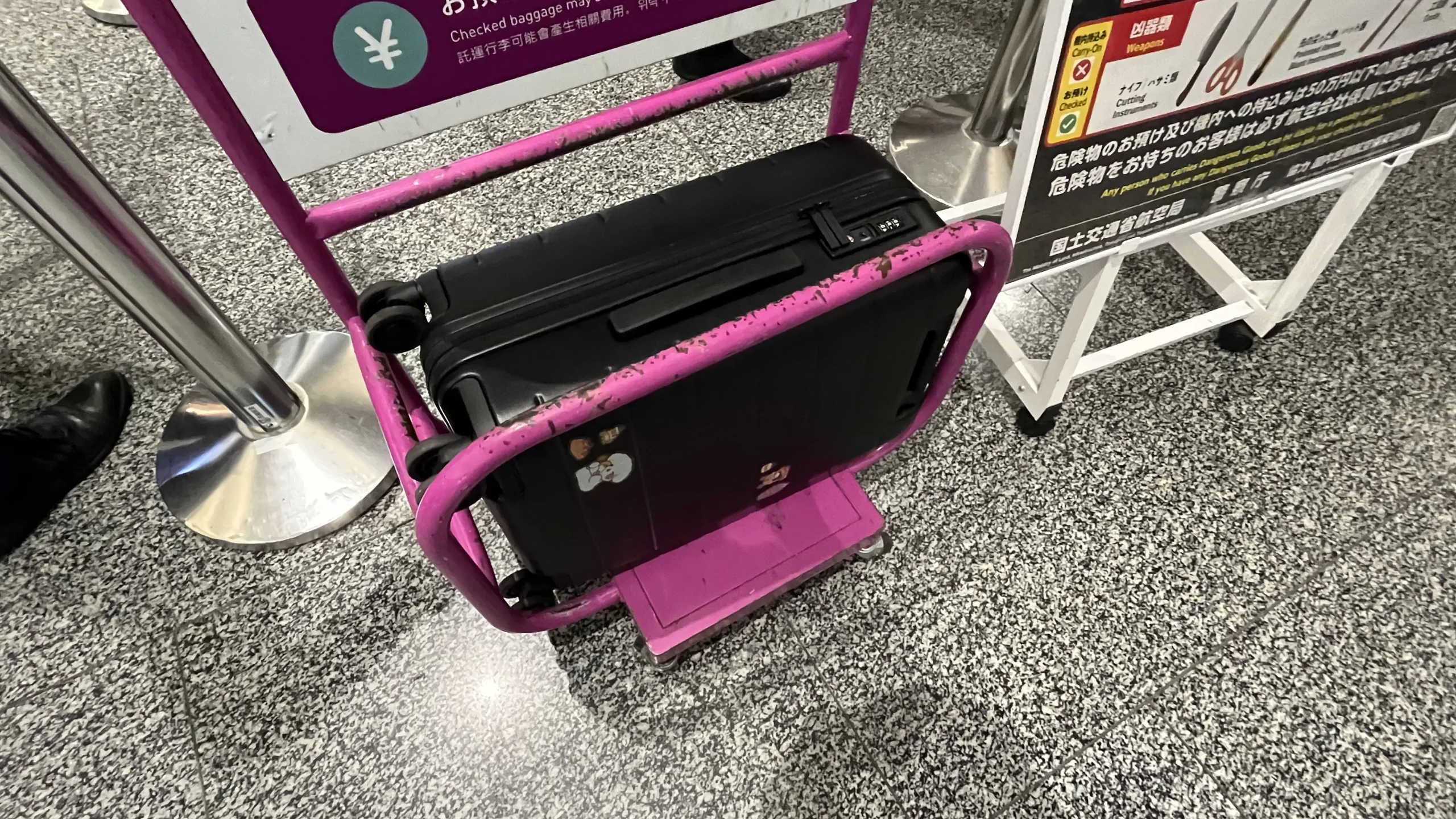 10 Peach-baggage-standard-2 10 Peach-baggage-standard-2